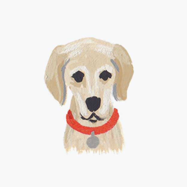 Pets Personalized Stationery - Dog 4