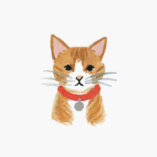 Pets Personalized Stationery - Cat 6