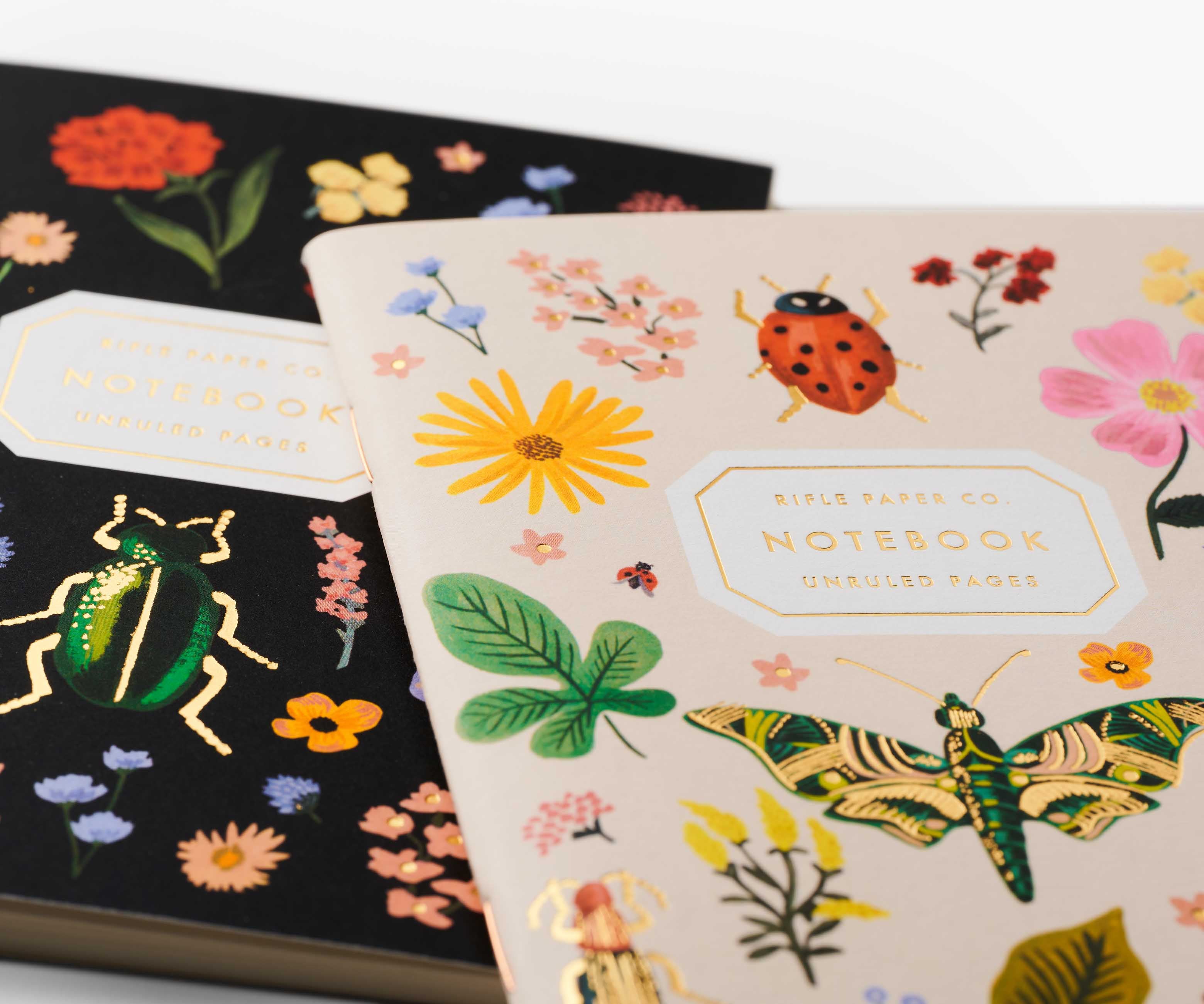 Pocket Notebook Set - Curio