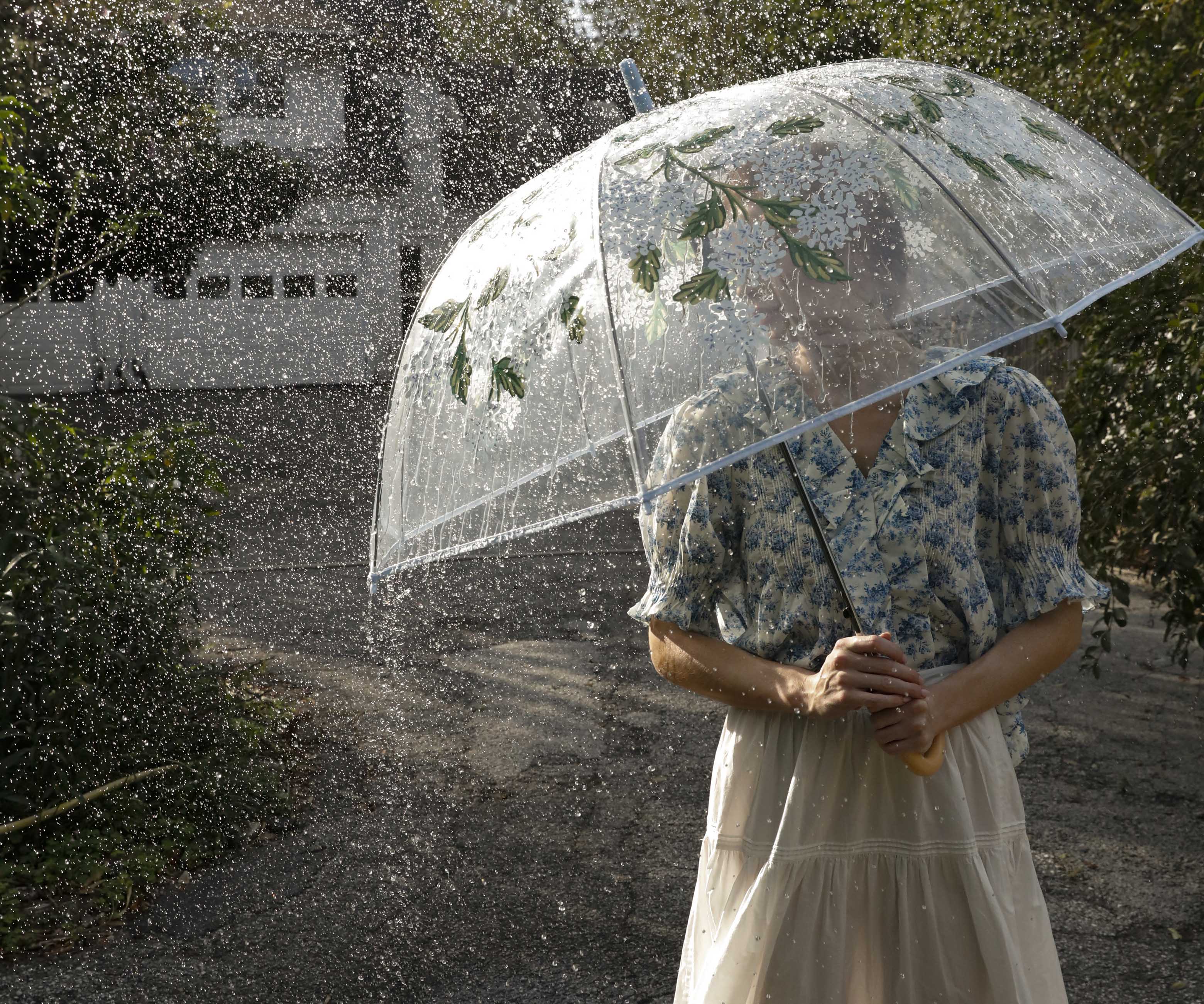 Umbrella - Hydrangea