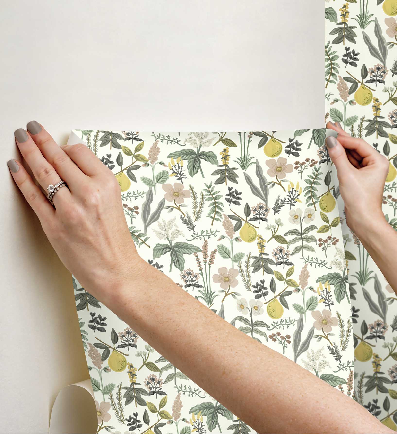 Herb Garden Peel & Stick Wallpaper - Cream